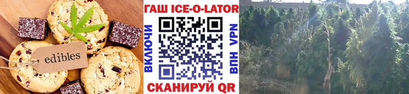 даркнет состав  мега онион  Грязи  Canna-Cookies конопля 