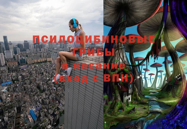 бошки Вязьма