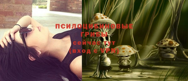 ECSTASY Волоколамск