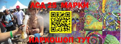 индика Аргун