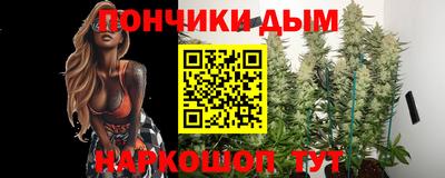 индика Аргун