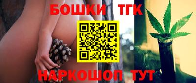индика Аргун