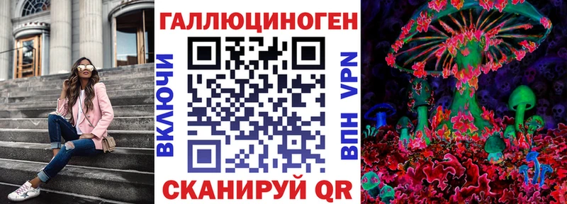 Псилоцибиновые грибы Psilocybine cubensis  Грязи 